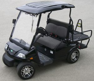 T-Sport 1 Golf Cart